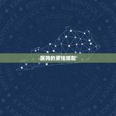 属狗的更佳婚配，属牛的更佳婚配属相