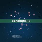 属猪的最佳婚配是什么，属相婚配表之属猪的和什么属相最配