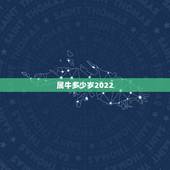 属牛多少岁2022，属羊今年几岁2022