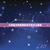 父亲属马母亲属蛇孩子生什么属相，父亲属马母亲属蛇生个什么属相宝宝