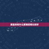 属鼠的和什么属相结婚比较好，属鼠的与什么属相结婚最好