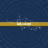 属猴人9月运势，2021属猴人全年12个月运势