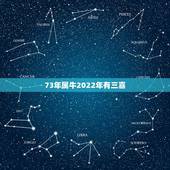 73年属牛2022年有三喜，73年属牛的2022年用哪个微信头像运气好