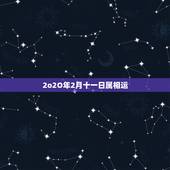 2o2O年2月十一日属相运，2023年属狗的二月十三的生日，才运怎么样