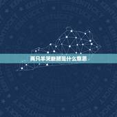 两只羊哭断肠是什么意思，两只羊婚配好吗