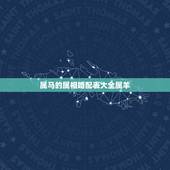 属马的属相婚配表大全属羊，属马的和什么属相最配 属马的属相婚配表？