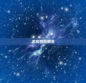 古风情侣网名 诗意，古风情侣网名诗意六个字