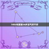 1983年属猪38岁运气好不好，1983年属猪的人一生哪年财运最好
