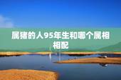 属猪的人95年生和哪个属相相配，1995年属猪和什么属相最好
