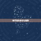 客厅适合养什么植物，北方客厅适合养什么大型植物