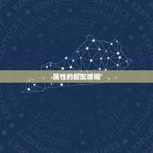 属性的般配婚姻，婚姻属性配对