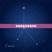龙爸爸生龙宝宝好吗，龙爸爸和猴妈妈生什么好