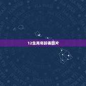 12生肖年龄表图片 2022年岁数年龄查询对照表