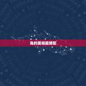 兔的属相能婚配，属兔的人和什么属相最配 属兔的人的属相婚配