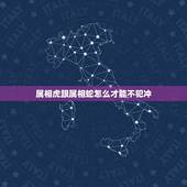 属相虎跟属相蛇怎么才能不犯冲，虎和蛇属相犯冲吗