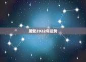 属蛇2022年运势，属蛇的33岁有一劫