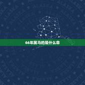 66年属马的是什么命，66年的马是什么命五行属什么