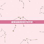属兔生属虎的孩子好不好，属牛生属虎的孩子好不好
