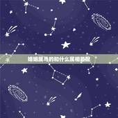 婚姻属马的和什么属相最配，2002年女马的婚配