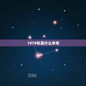 1979年是什么羊年，79年白露出生的羊是什么命