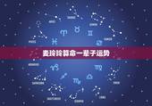 麦玲玲算命一辈子运势，麦玲玲属鸡人2021年运势运程？