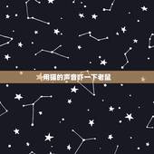 用猫的声音吓一下老鼠，猫叫声驱鼠时长20分钟完整版