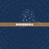 我想算算我的命运，我想算算我的命运算命？