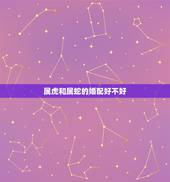 属虎和属蛇的婚配好不好，属蛇和属虎的相配吗？