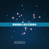属老鼠的人和什么属相合，属鼠和哪几个属相最合适