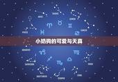跟小奶狗谈恋爱什么感觉(初恋般的甜蜜与纯真)