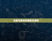 女鼠与男虎的婚配合适吗，男虎女鼠合不合适？
