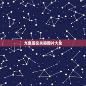 九鱼图玄关画图片大全，玄关挂九鱼图鱼头朝什么方向好