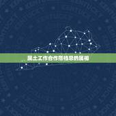 属土工作合作搭档忌的属相，哪些属相之间不宜合资合作？