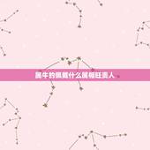 属牛的佩戴什么属相旺贵人，属牛的女人戴什么属相的白金坠子