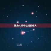 属兔人命中注定的情人，属兔女二婚会幸福