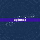 蛇属相婚配属牛，属相牛和蛇能在一起合适吗？