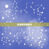 深海招财鱼图片，看看这个招财鱼怎么回事啊？