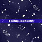 生肖运势2022年运势大全每月，麦玲玲2022年12生肖运势解析