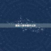 属蛇人家中摆什么好，属蛇人更大靠山是谁
