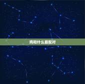 鸡和什么最配对，女鸡跟什么生肖配对更好
