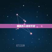 属虎的人命好不好，为什么男属虎命不好