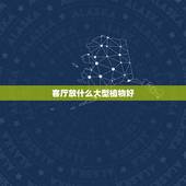 客厅放什么大型植物好，客厅财位放什么植物好