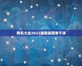 网名大全2022最新版简单干净，网名大全2022最新版的女生