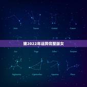 猪2022年运势完整版女，属猪女2022年全年运势