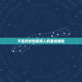 不同月份的属狗人的最佳婚配，属狗人最佳婚配有哪些