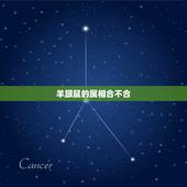 羊跟鼠的属相合不合，马跟龙的属相合不合