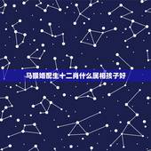 马猴婚配生十二肖什么属相孩子好，属马的生什么属相的宝宝好