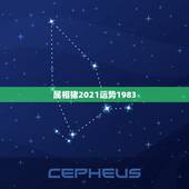 属相猪2021运势1983，1983年属猪女在2021年的运势
