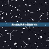 属猪的和属兔的属相配不配，属兔和属猪属相相配，八字不合可以吗
