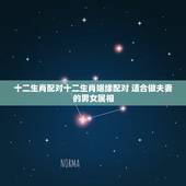 十二生肖配对十二生肖姻缘配对 适合做夫妻的男女属相